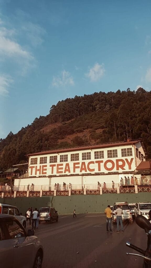 ooty