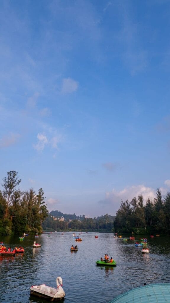 ooty