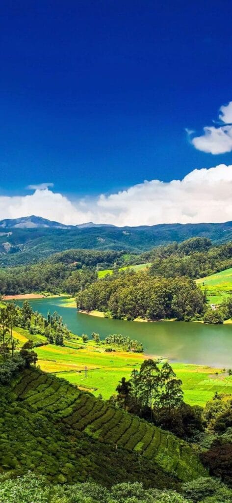 ooty